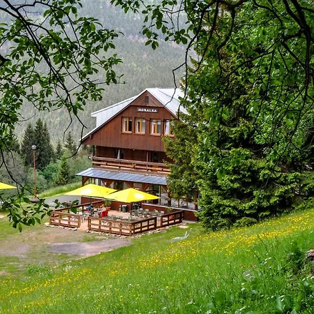 Horalka 3* Spindleruv Mlyn