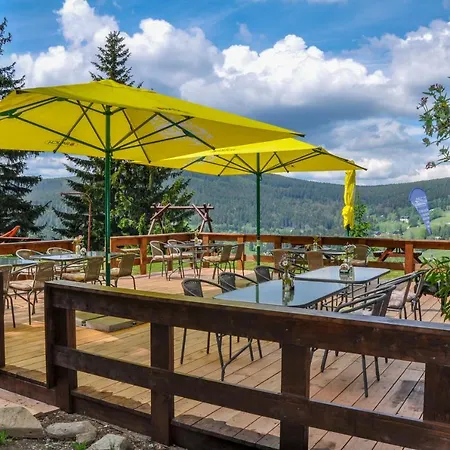 Guest house Horalka 3*