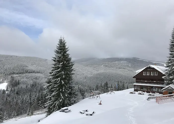بيت ضيافة Horalka Špindlerŭv Mlýn